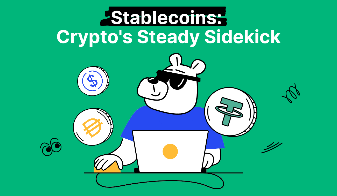 Stablecoin Explained + Best Stablecoins in Cryptocurrency