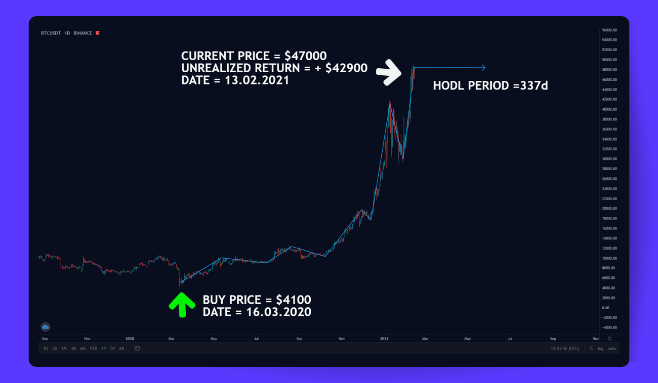 Pic. 1. The long-term effect of a HODL strategy. 