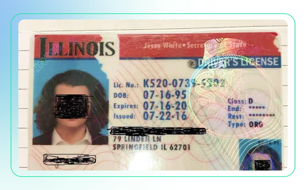 Pic. Fake ID example. Image source: .