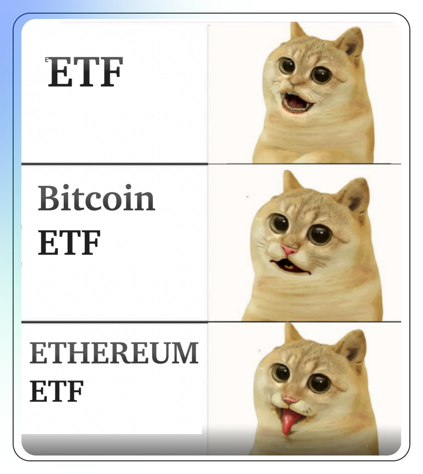 Best Crypto Memes 2024-5