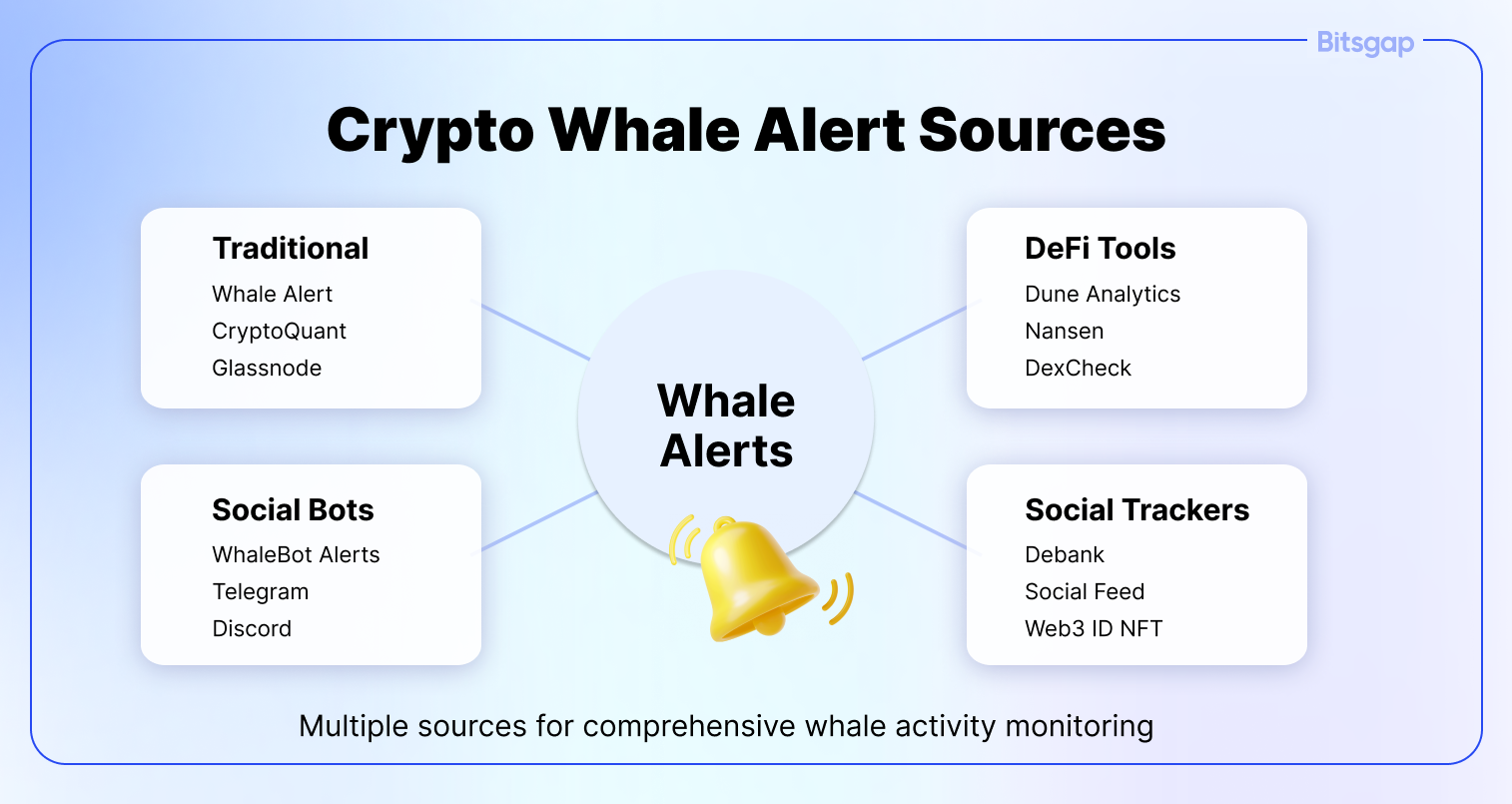 From Market Movers to Price Shakers: Decoding Crypto Whales-3