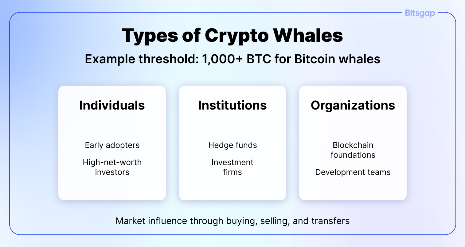 From Market Movers to Price Shakers: Decoding Crypto Whales-1