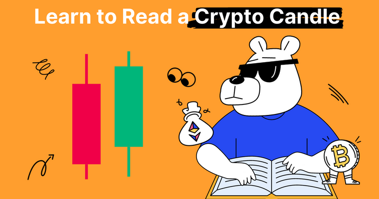 How to Read Crypto Candles and Use Them for Profitable Trading