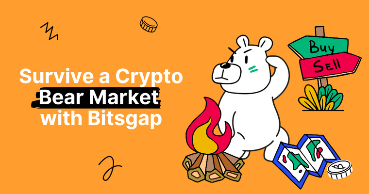 How to Survive a Bear Market in Crypto