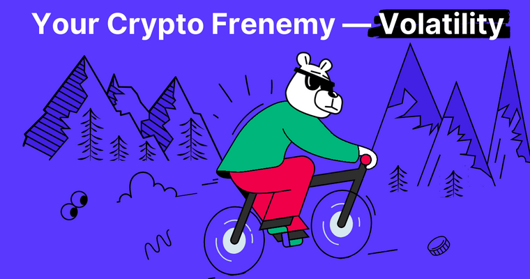 Thrills and Spills of Crypto Market Volatility: Navigating Market Swells and Crashes