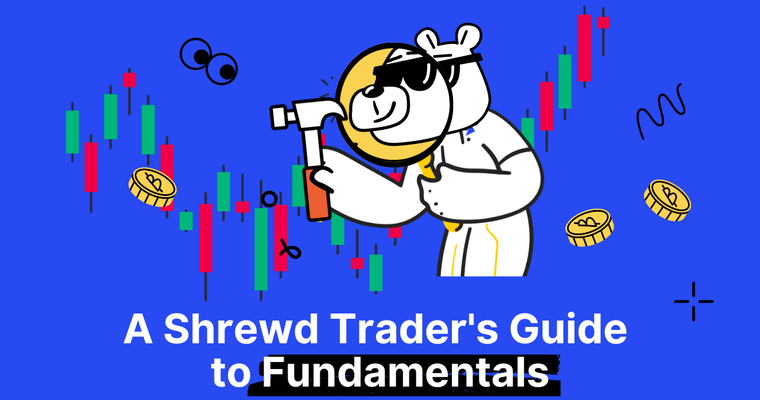 The Art of Filtering: Crypto Fundamental Analysis 101