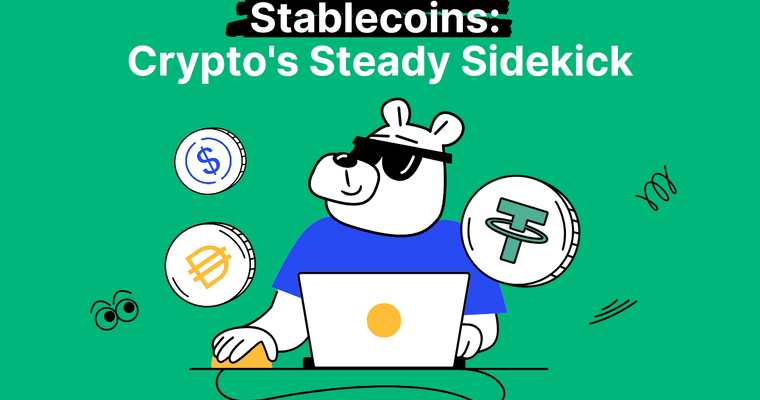 Stablecoin Explained + Best Stablecoins in Cryptocurrency