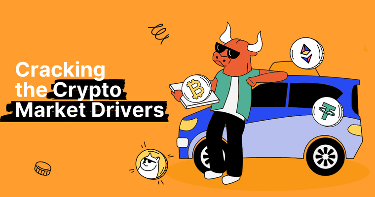 What Drives the Cryptocurrency Market?