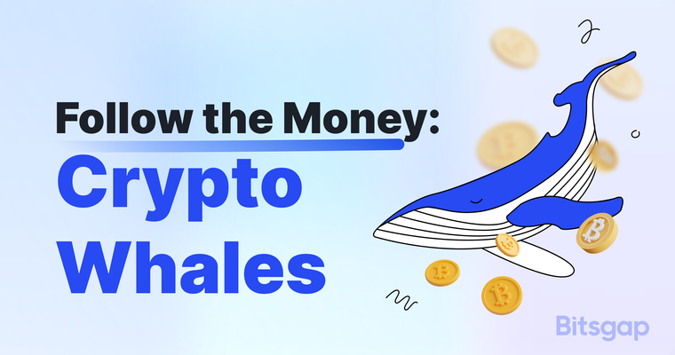 From Market Movers to Price Shakers: Decoding Crypto Whales