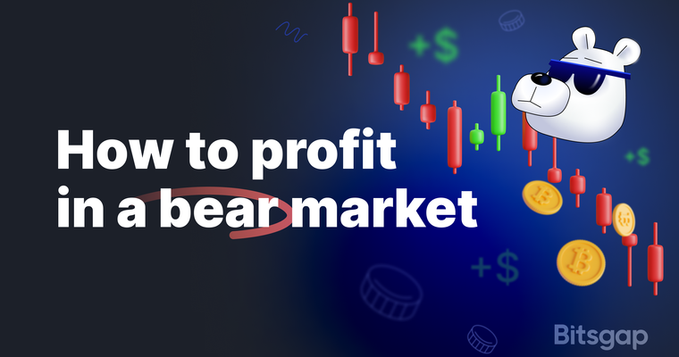 How to Make Money in a Bear Market