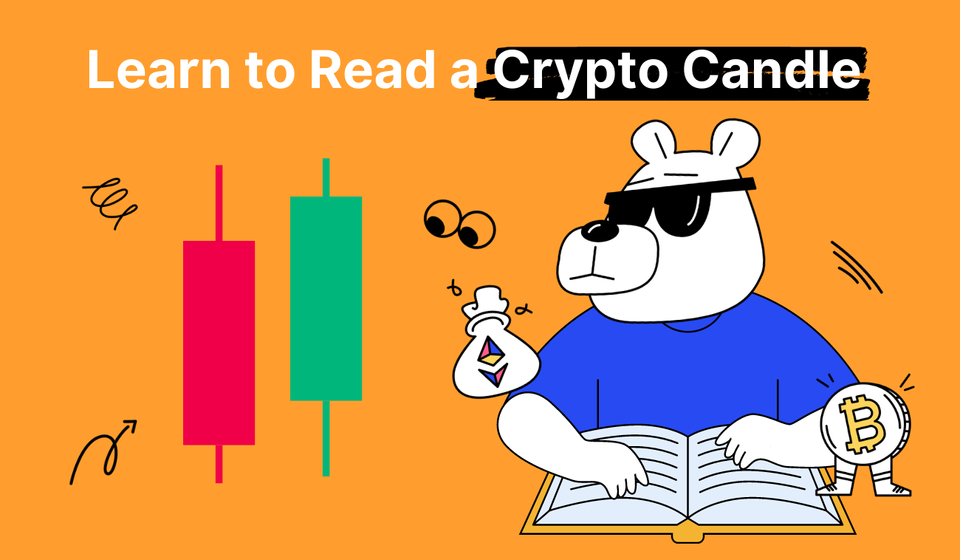 How to Read Crypto Candles and Use Them for Profitable Trading