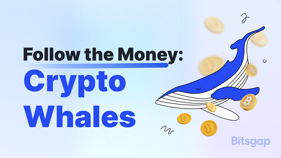 From Market Movers to Price Shakers: Decoding Crypto Whales