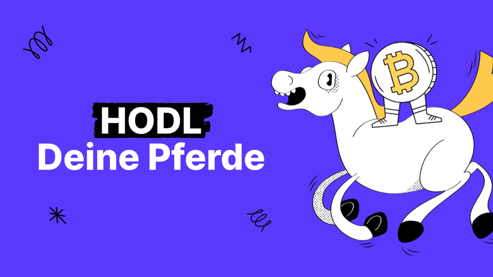 HODLing erklärt: Die Kraft der Geduld im Kryptohandel