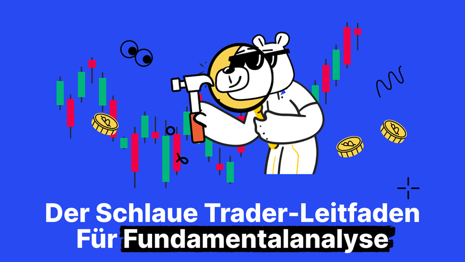 Die Kunst des Filterns: Grundlagen der Krypto-Fundamentalanalyse