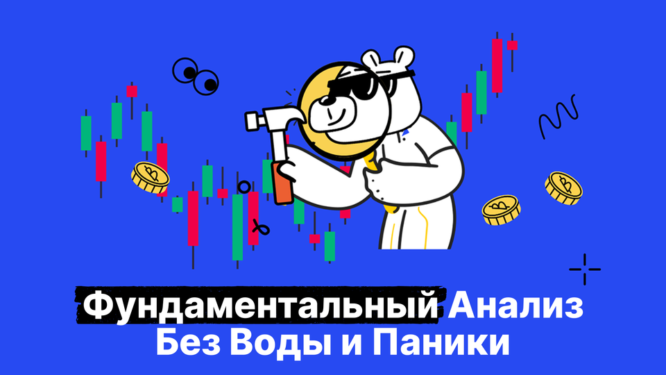 Искусство фильтрации: основы фундаментального анализа криптовалют